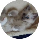 Andrew Bloomer profile picture